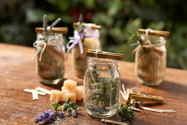 Ball discount herb jars